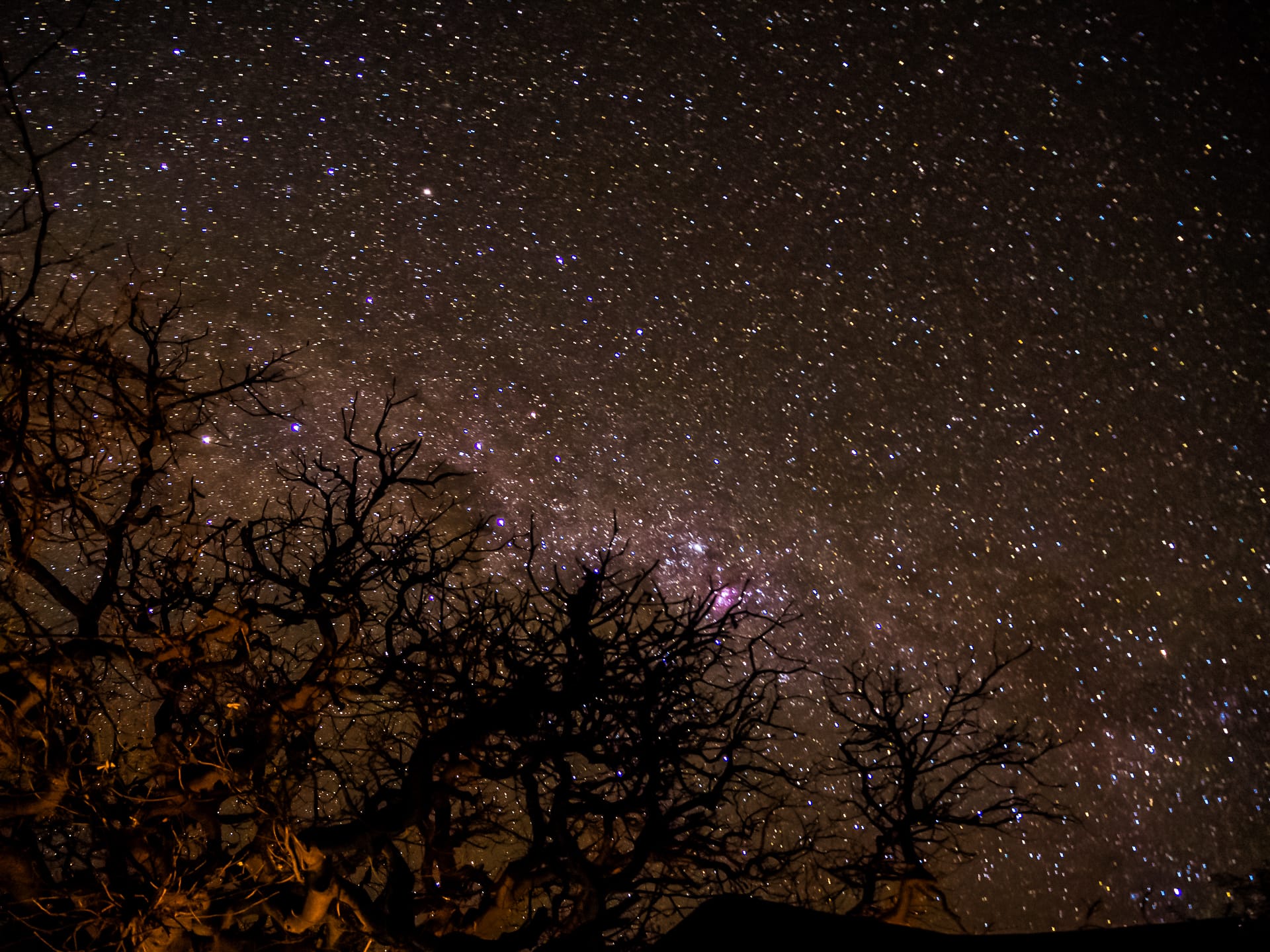 Night sky behind the tree, f/3.5, 60 sec